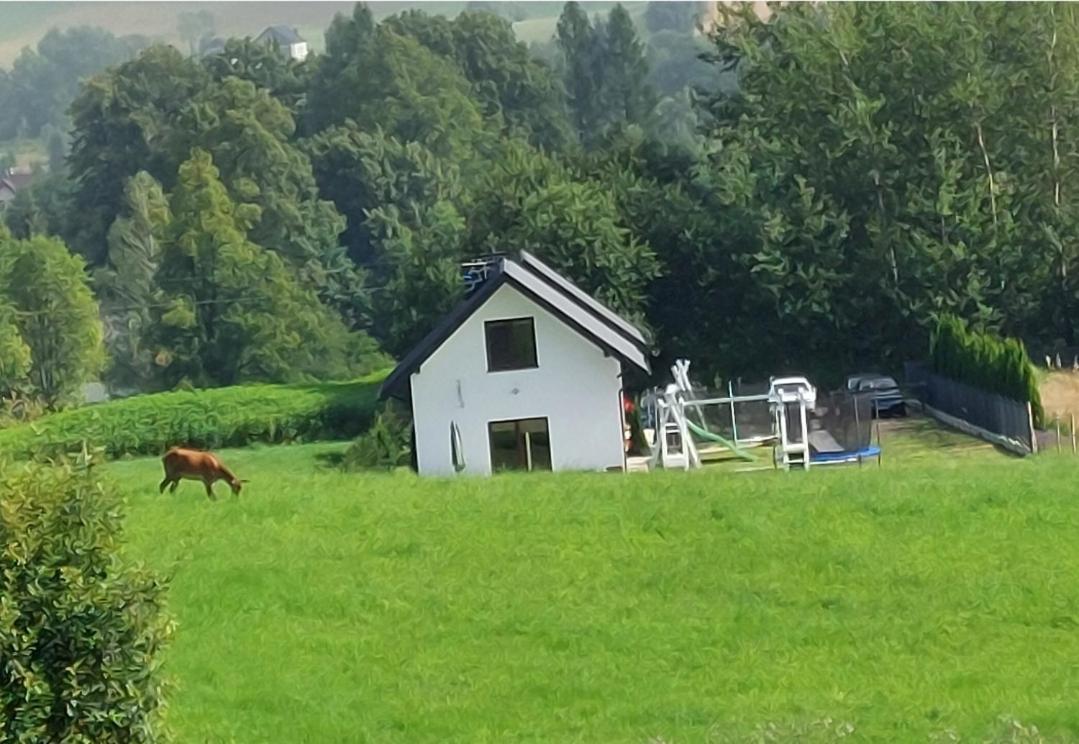 Domek Pod Holica 2 Bieszczady Ustrzyki Dolne Exteriér fotografie