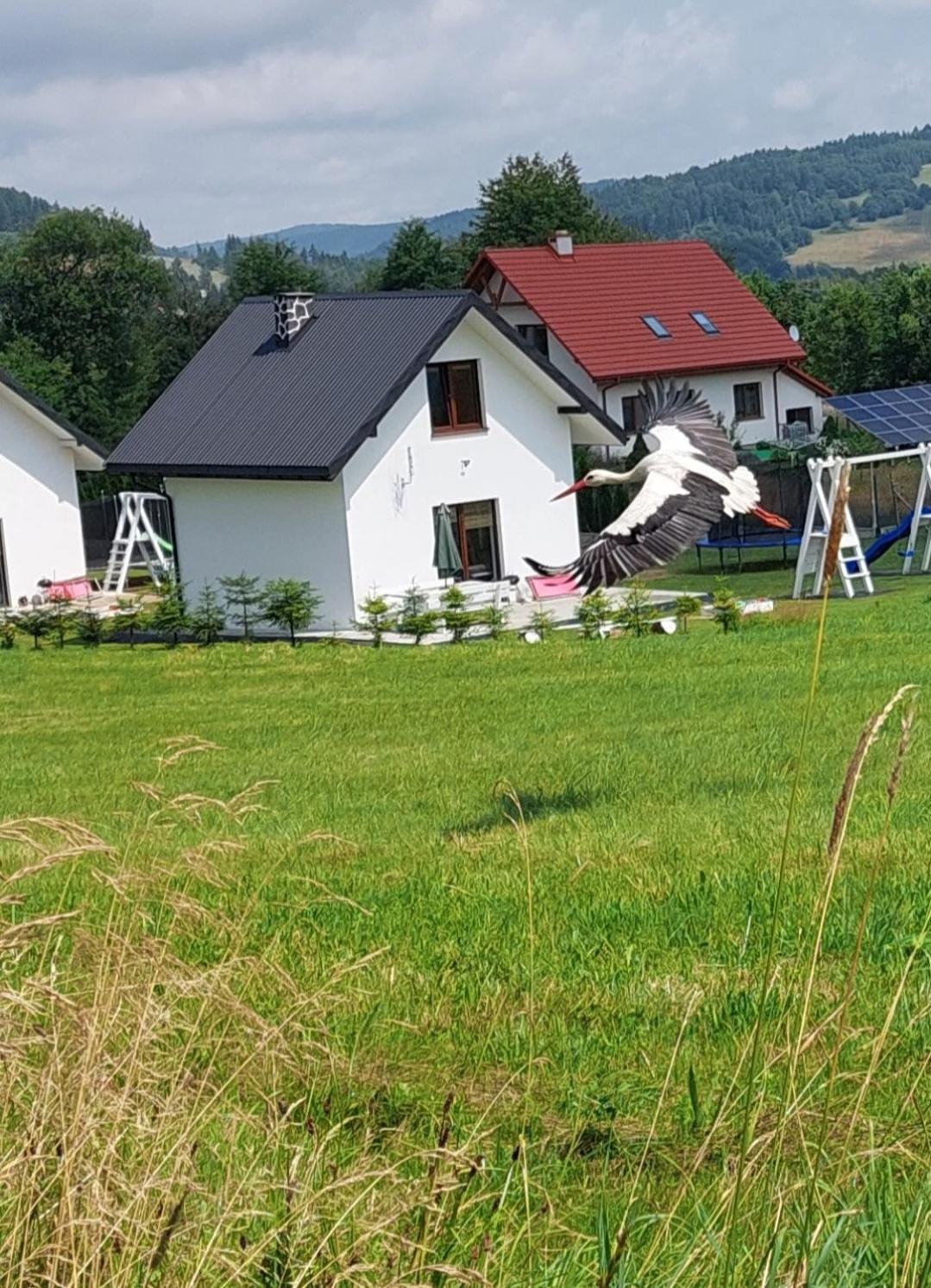 Domek Pod Holica 2 Bieszczady Ustrzyki Dolne Exteriér fotografie